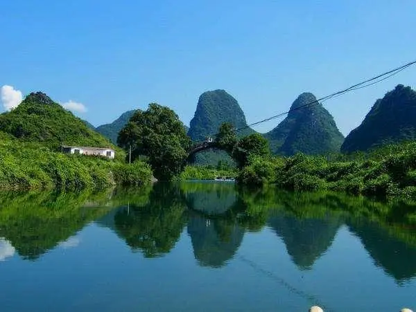 绿色独特